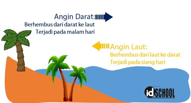 Minyak Wajah Tinta Gurita dan Angin Laut Utara: Rahasia Kulit Bercahaya dari Kedalaman Laut